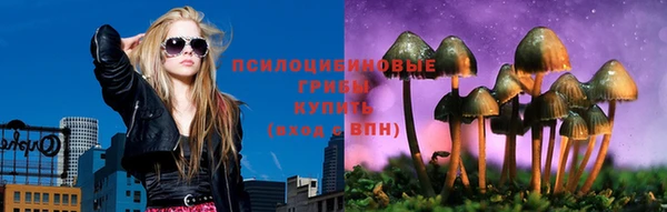 шишки Медногорск
