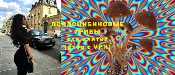 гидропоника Мегион