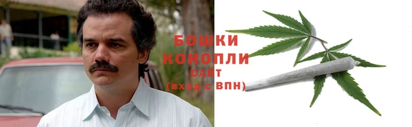 ПСИЛОЦИБИНОВЫЕ ГРИБЫ Михайловка