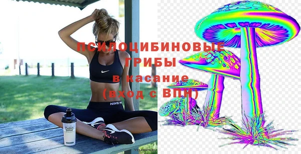 ПСИЛОЦИБИНОВЫЕ ГРИБЫ Михайловка
