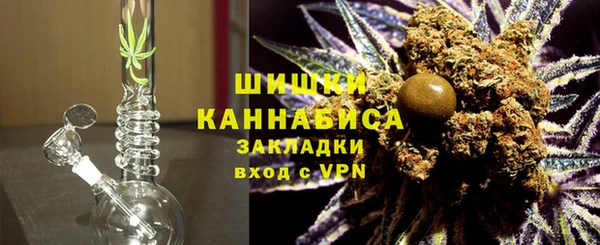 шишки Медногорск