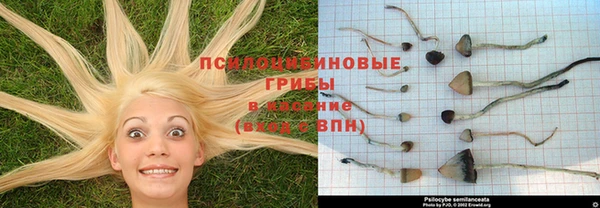 гашиш Михайлов