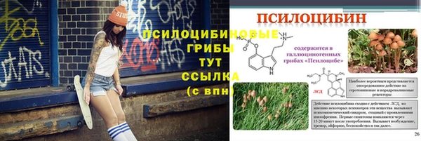 MESCALINE Медвежьегорск