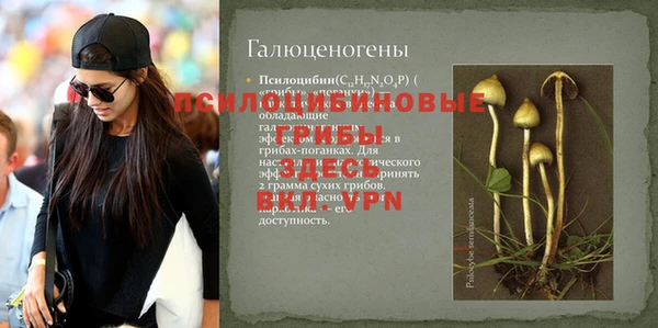 ПСИЛОЦИБИНОВЫЕ ГРИБЫ Михайловка