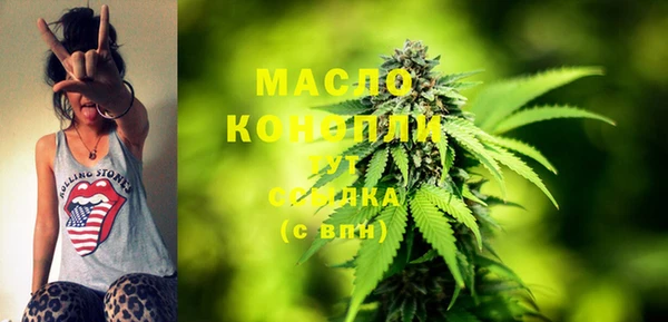 шишки Медногорск